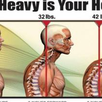 Heads too heavy for my body